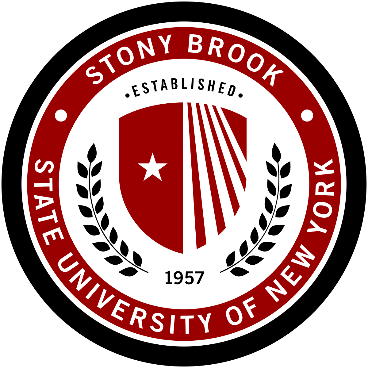 Stony Brook State University of New York