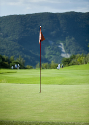 Flag in a hole on a golf course